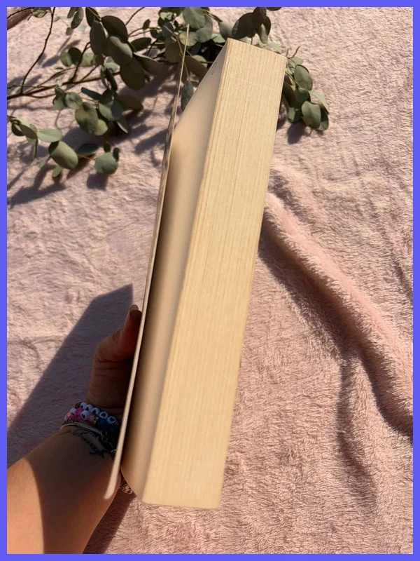 Boek "De Ridders van het Smaragd, Deel 1: Het Vuur in de Hemel" - Anne Robillard <3 – photo 3